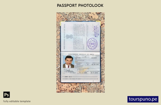 Plantilla de apariencia de foto de pasaporte de India lista para imprimir